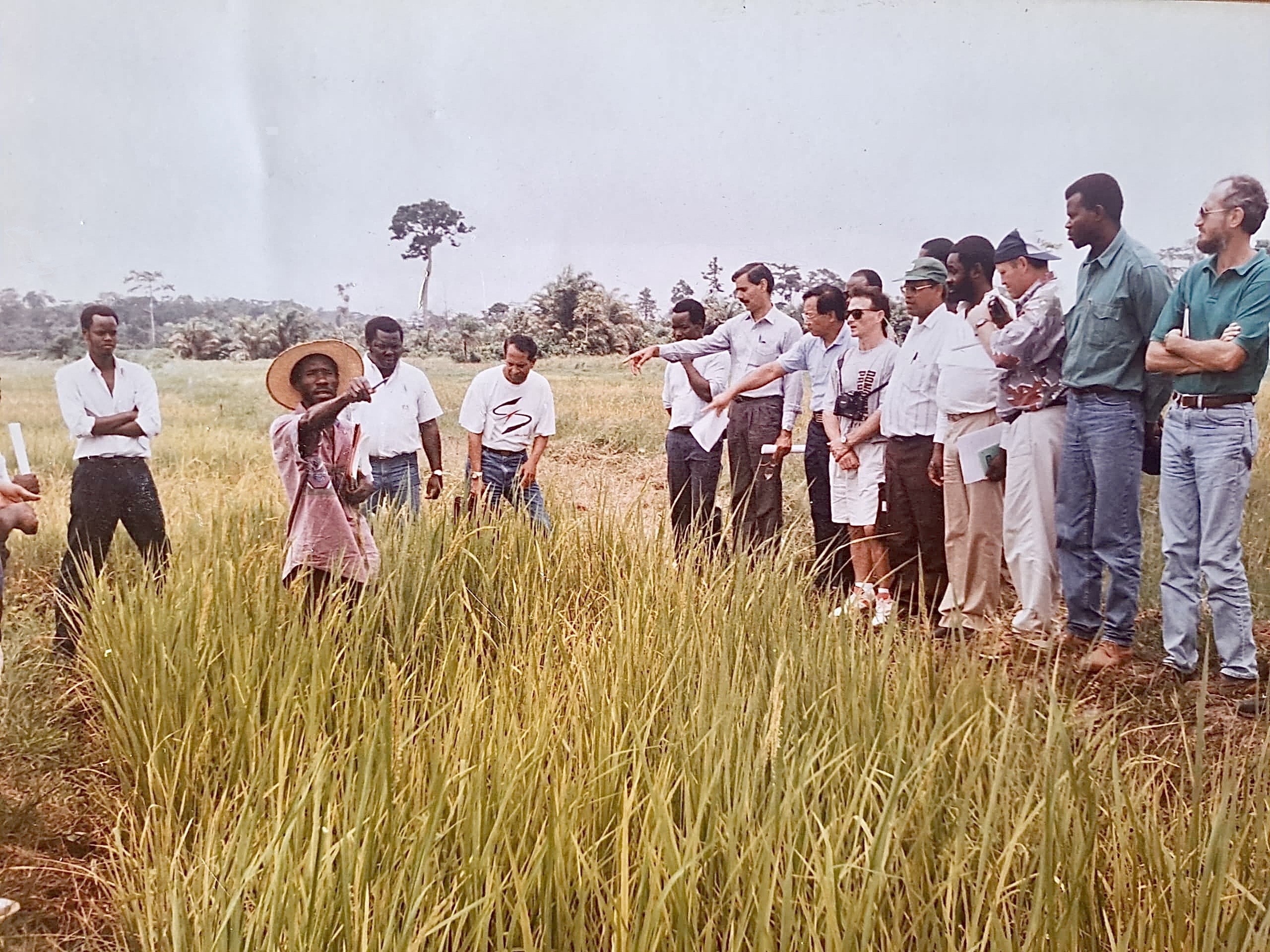 Aziz, avec le chapeau, dans les rizières de Mbé près de Bouaké en Côte d’Ivoire, vers 1994.