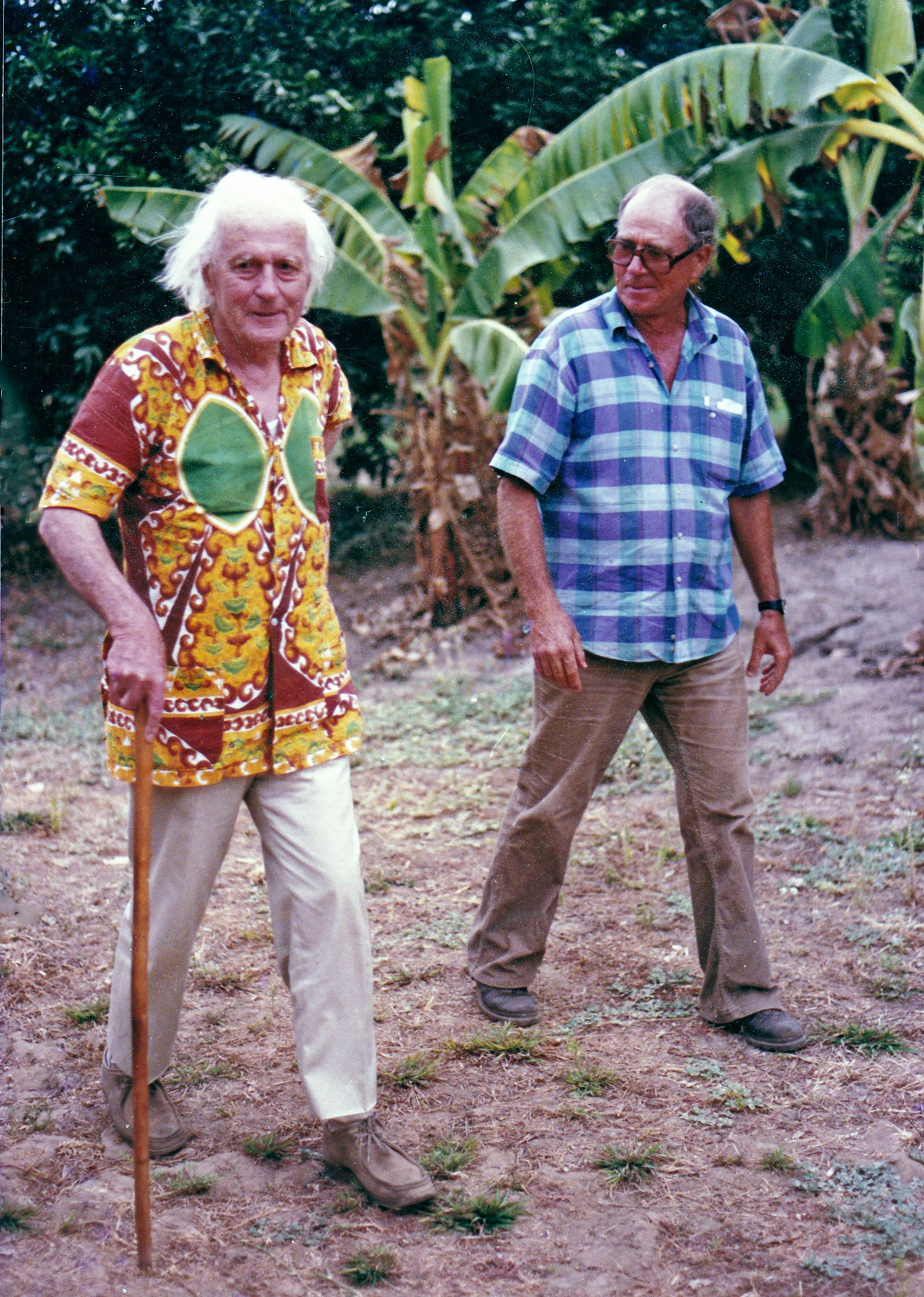 1985-Alain Sizaret avec René Dumont (à gauche) dans le verger expérimental de Kismatari proche de Garoua dans le nord Cameroun.