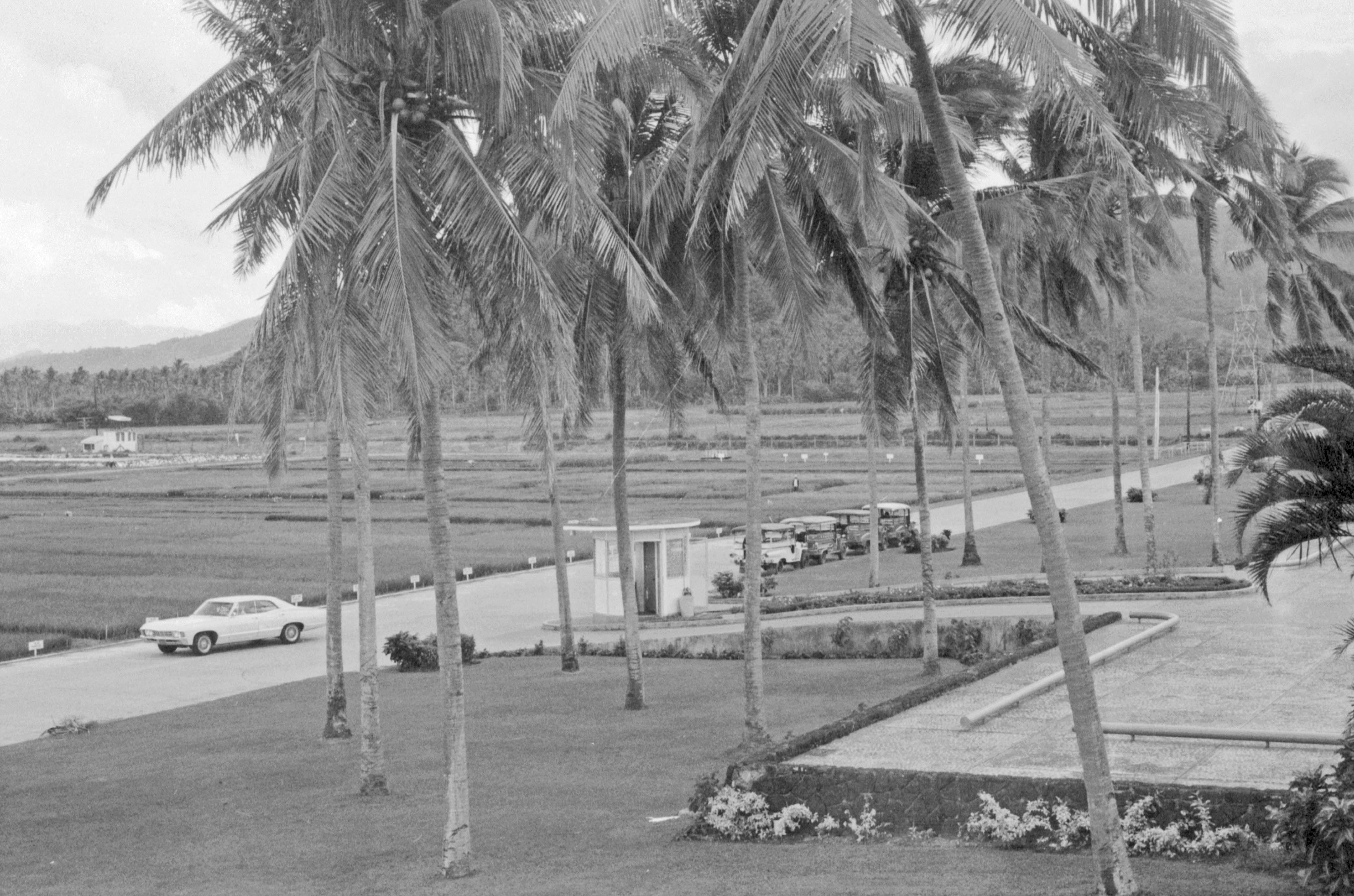 Philippines 1971   Irri 5