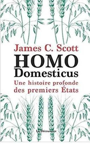 HOMO Domesticus