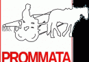 Relance de l'association Prommata Relance de l'association Prommata